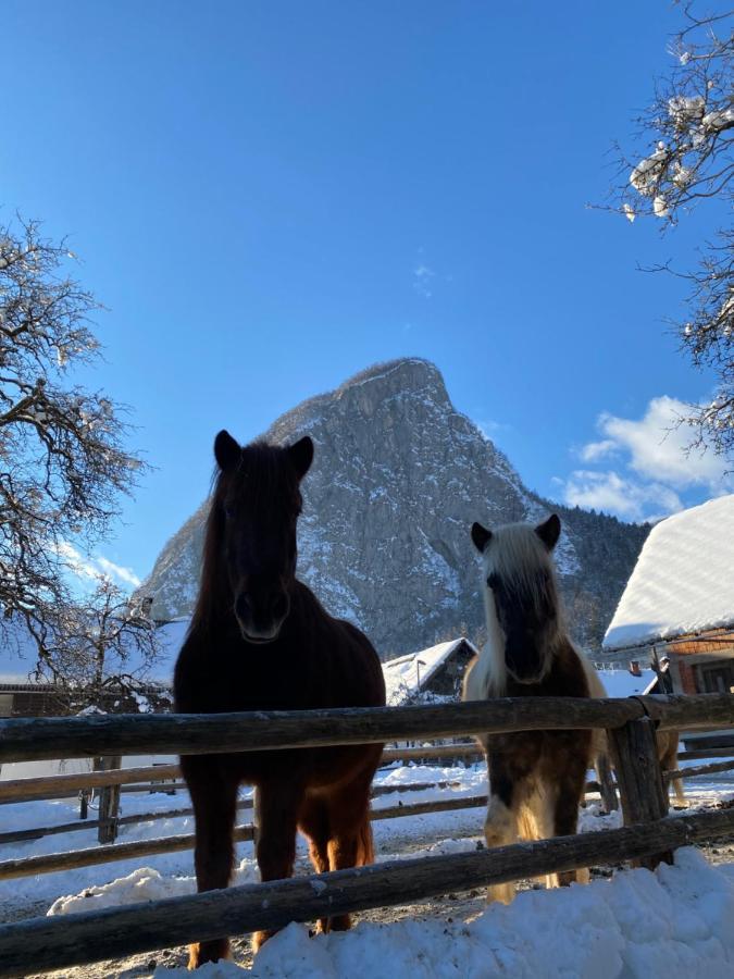 Apartmaji Katrnjek Bohinj Esterno foto