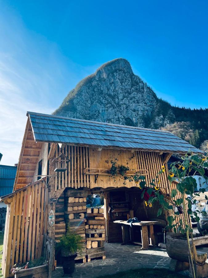 Apartmaji Katrnjek Bohinj Esterno foto