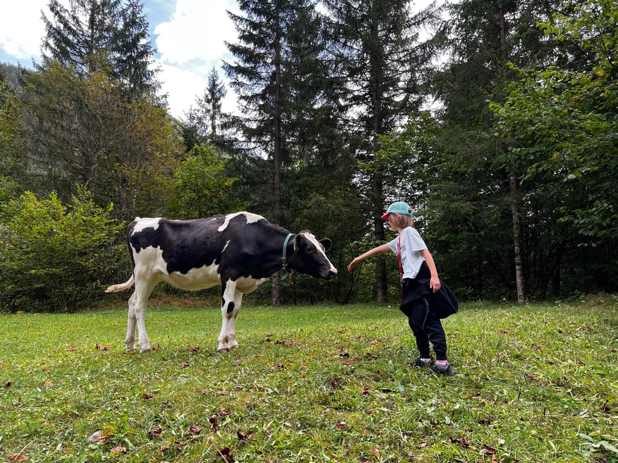 Apartmaji Katrnjek Bohinj Esterno foto