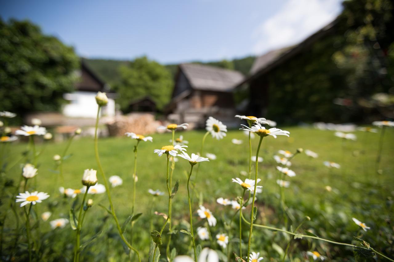 Apartmaji Katrnjek Bohinj Esterno foto